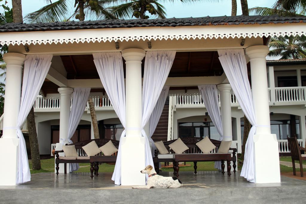 Suite Lanka — Хіккадува, Шрі Ланка мініатюра 40