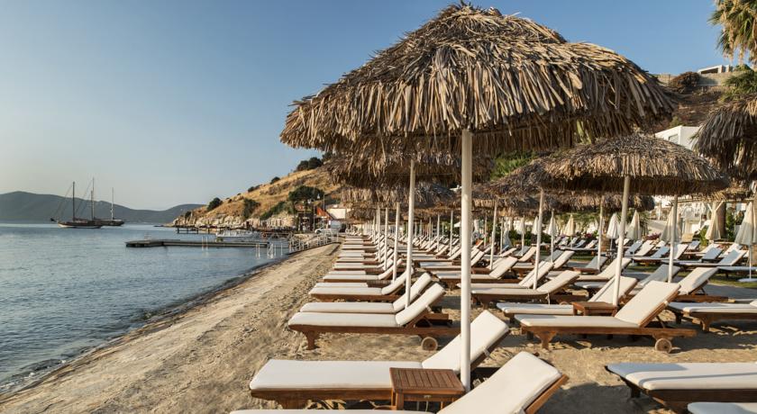 Agaya Bodrum — Бодрум, Туреччина мініатюра 77