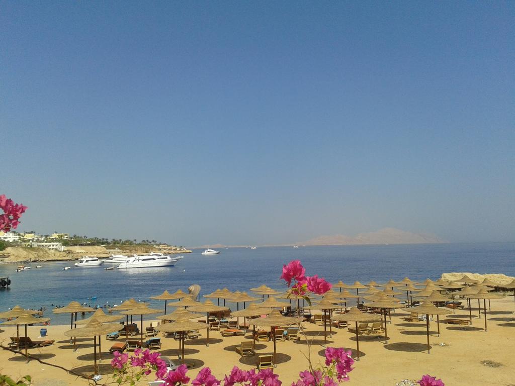 Mazar Resort & Spa — Шаркс Бей, Єгипет мініатюра 17