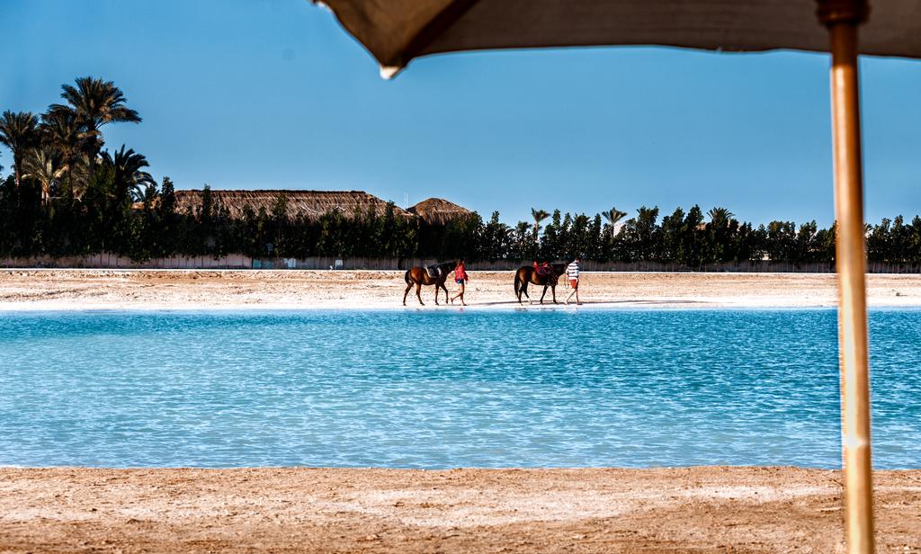 Gravity Hotel & Aquapark Hurghada — Хургада, Єгипет мініатюра 25