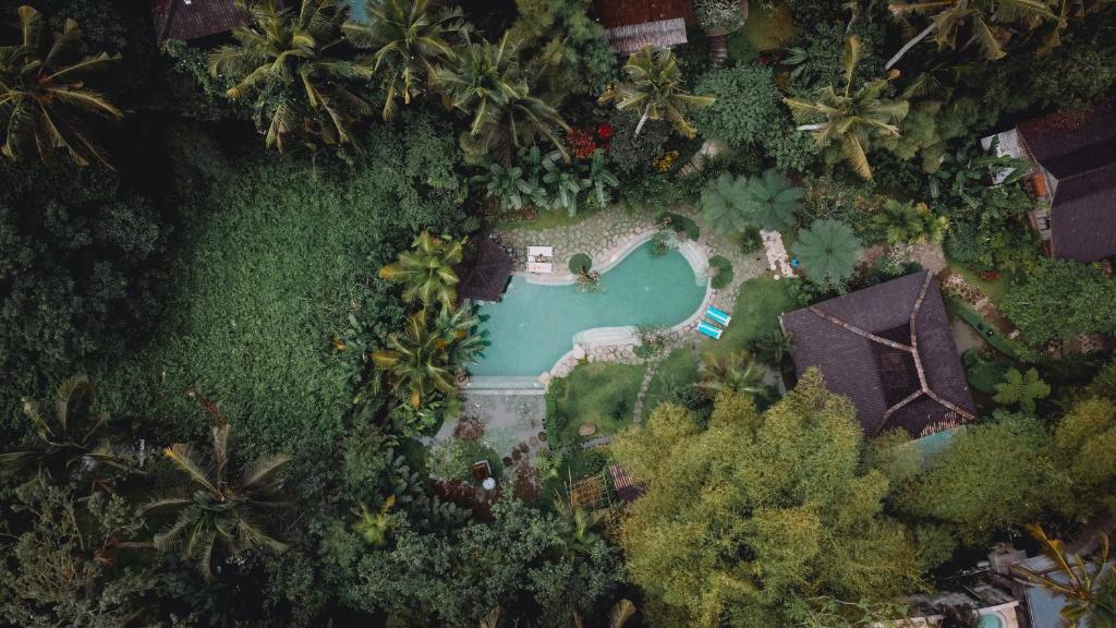 Korurua Dijiwa Ubud — о. Балі, Індонезія мініатюра 66