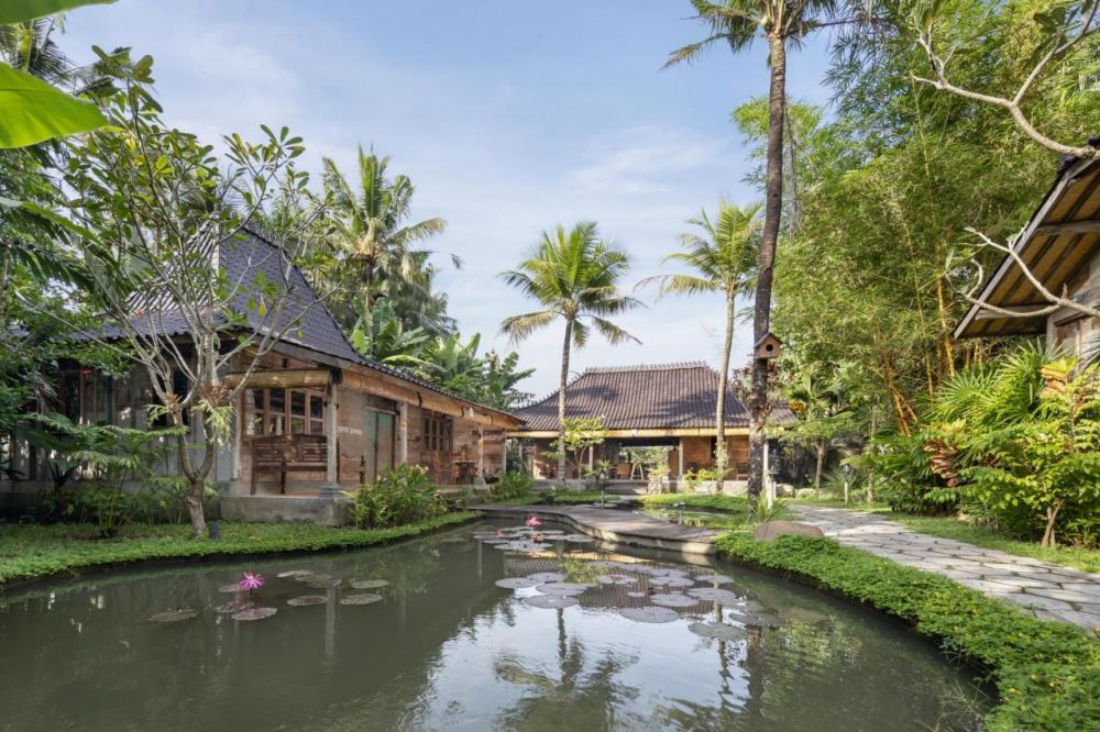 Korurua Dijiwa Ubud — о. Балі, Індонезія мініатюра 65