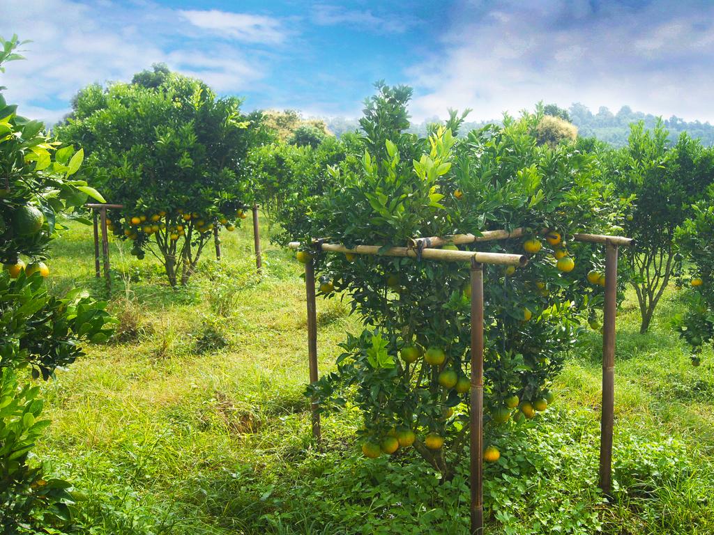 Bagus Agro Pelaga — о. Балі, Індонезія мініатюра 161