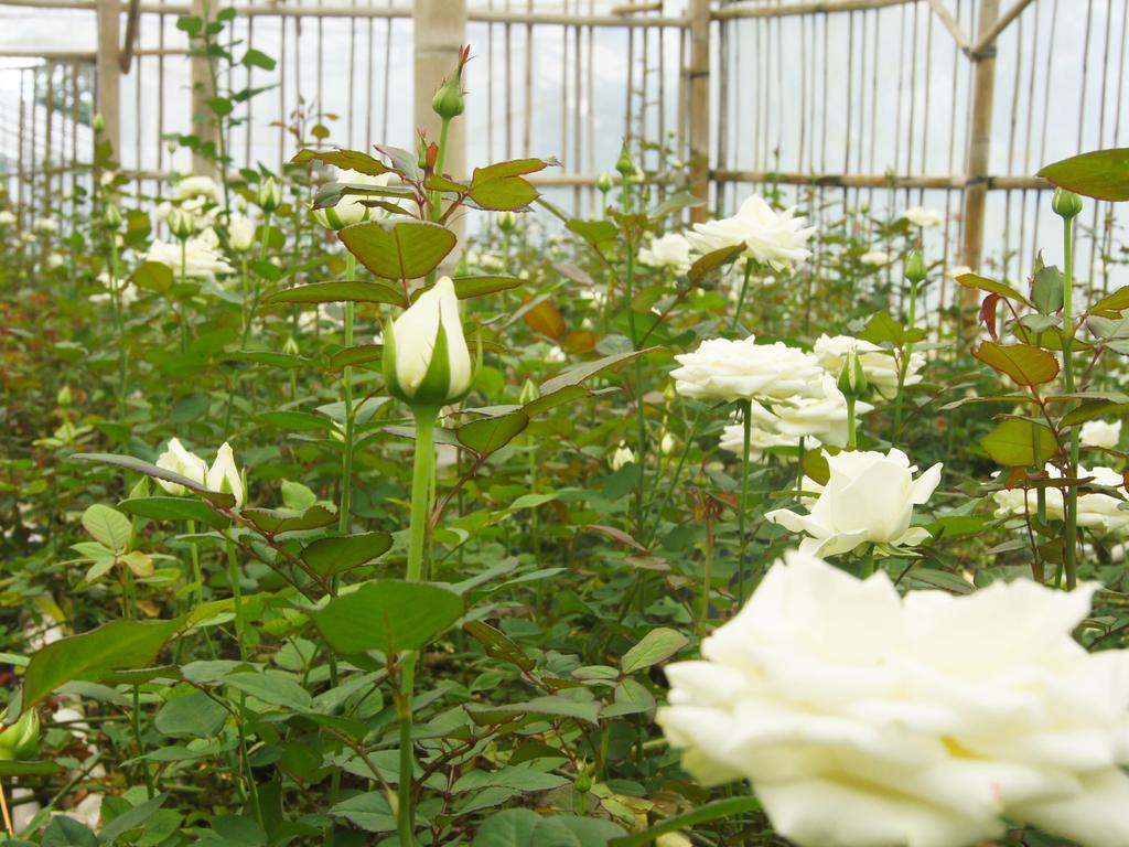 Bagus Agro Pelaga — о. Балі, Індонезія мініатюра 164