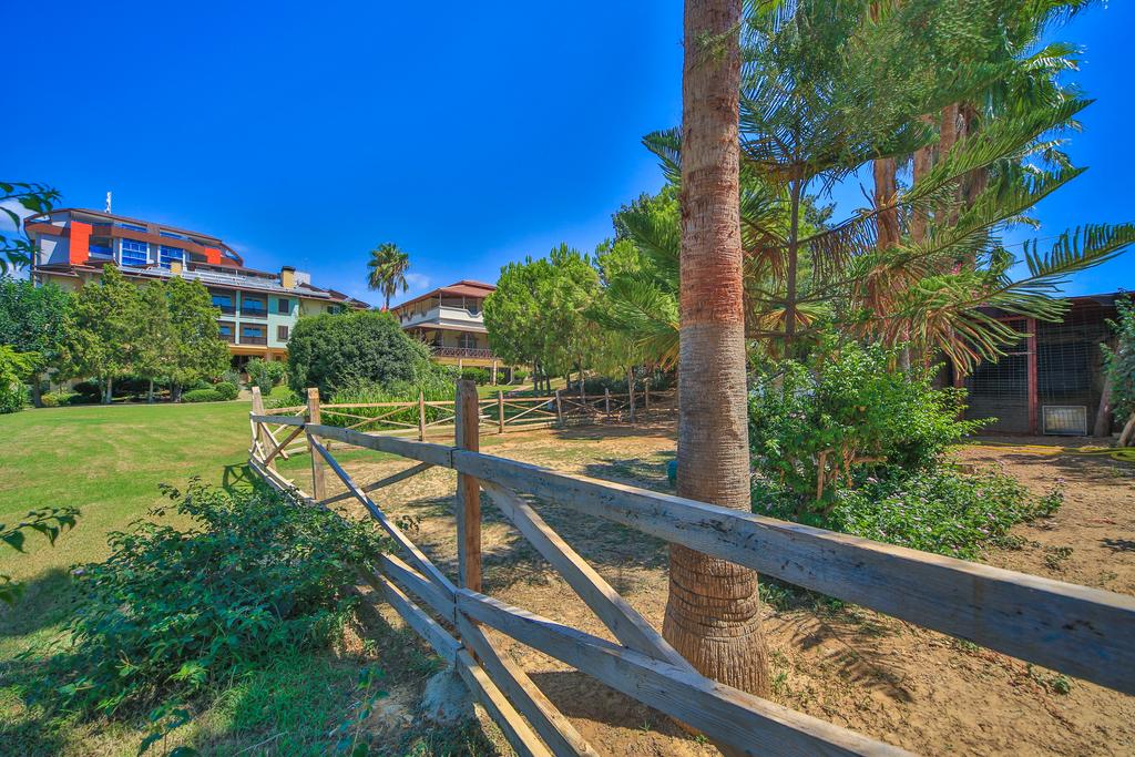 Lonicera Resort & Spa — Аланья, Туреччина мініатюра 45