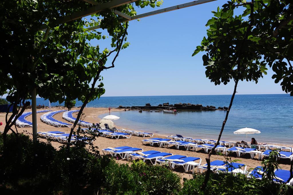 Numa Bay Exclusive Hotel — Аланья, Туреччина мініатюра 53