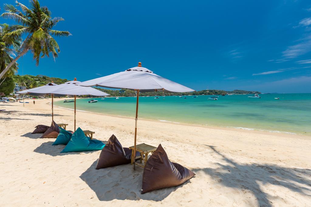 Bandara Phuket Beach Resort — о. Пхукет, Таїланд мініатюра 21