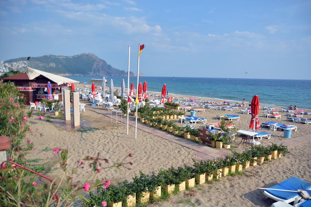 Kleopatra Dreams Beach — Аланья, Туреччина мініатюра 379