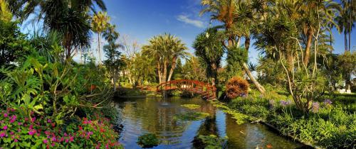 Botanico & The Oriental Spa Garden Hotel — о. Тенеріфе (Канари), Іспанія мініатюра 39