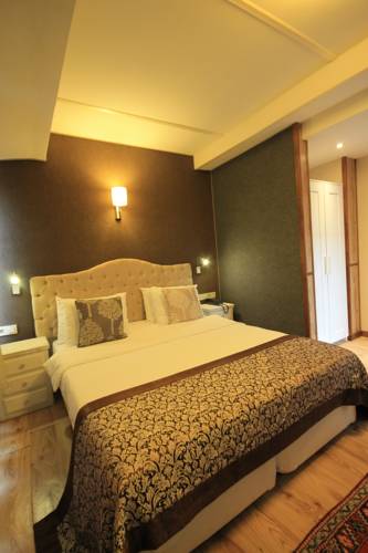 Armagrandi Spina Hotel — Стамбул, Туреччина мініатюра 7