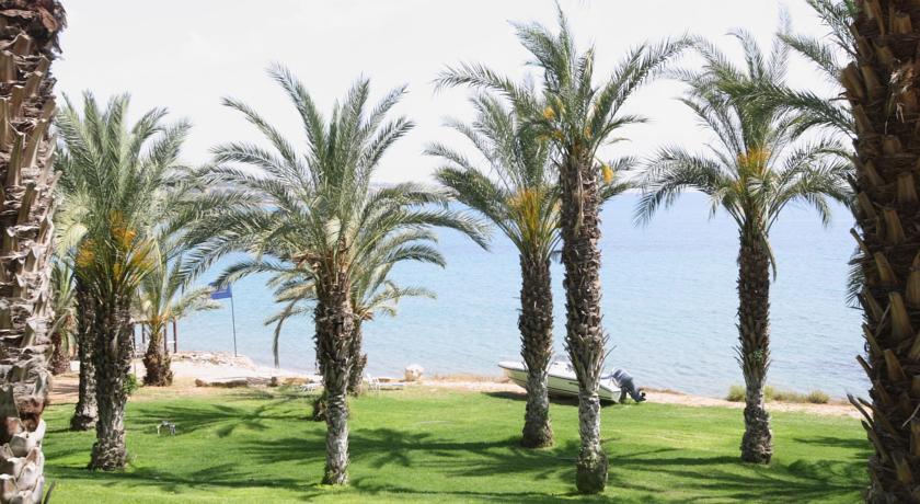 Ascos Coral Beach Hotel — Пафос, Кіпр мініатюра 19