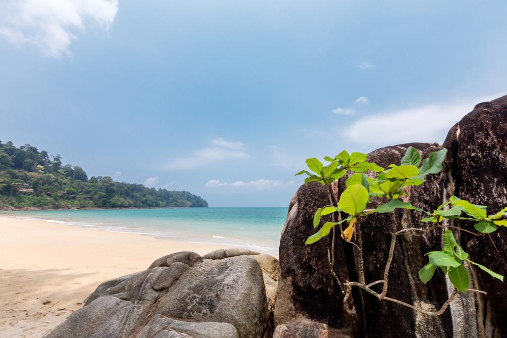 Wanaburee Resort Khaolak — Пхангнга, Таїланд мініатюра 17