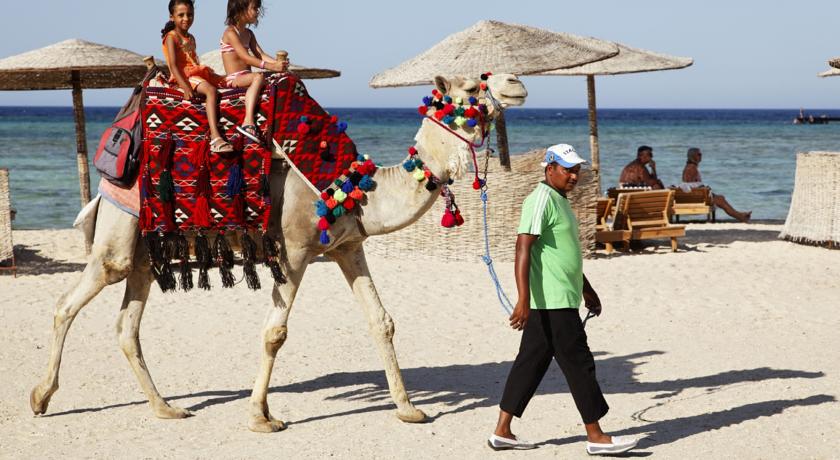 The Three Corners Fayrouz Plaza Beach Resort — Марса Алам, Єгипет мініатюра 112