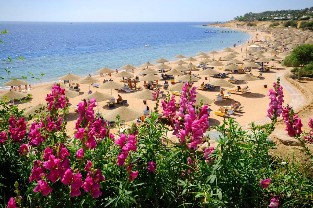 Domina Coral Bay Aquamarine — Шарм-ель-Шейх, Єгипет мініатюра 309