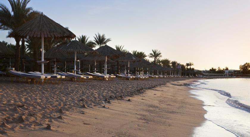Sharm Dreams Resort — Наама Бей, Єгипет мініатюра 31
