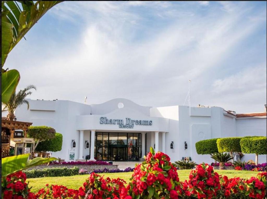 Sharm Dreams Resort — Наама Бей, Єгипет мініатюра 36