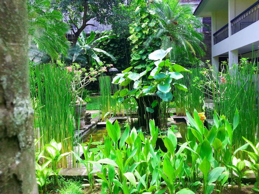 Paradiso Hotel Legian — о. Балі, Індонезія мініатюра 37