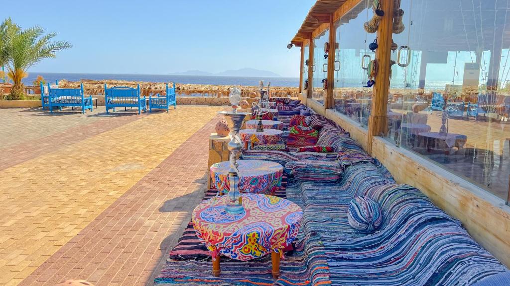 Sharm Reef Hotel Ras Um Sid — Шарм-ель-Шейх, Єгипет мініатюра 14