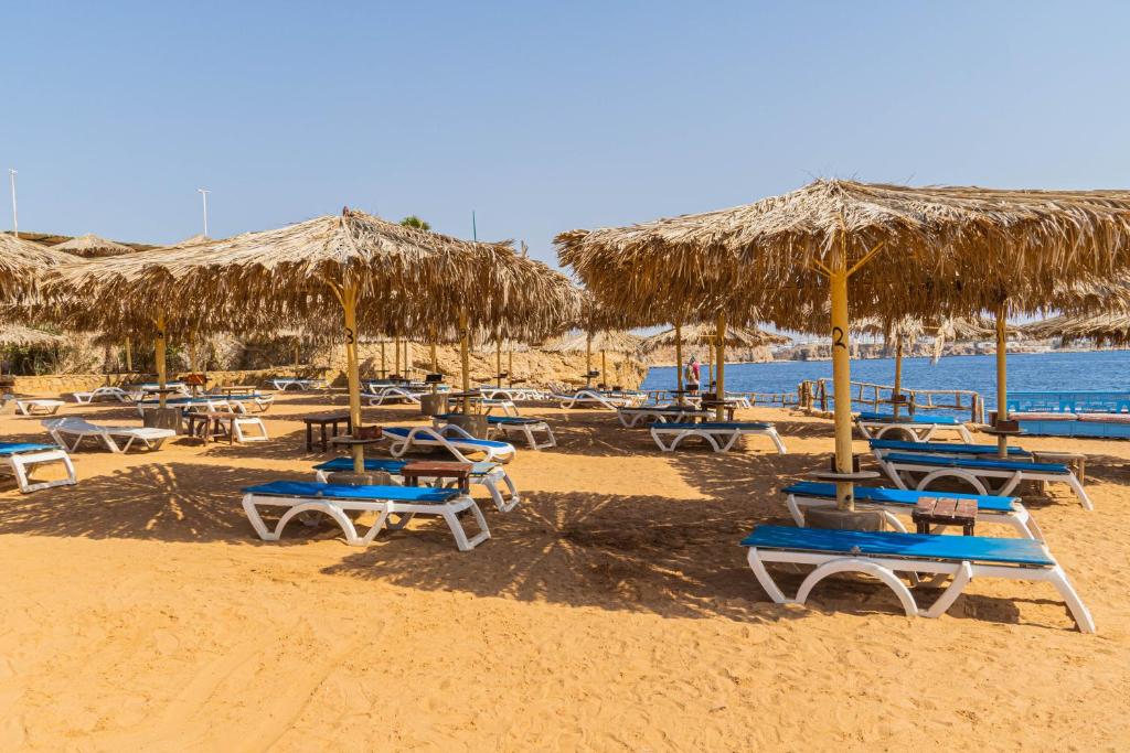 Sharm Reef Hotel Ras Um Sid — Шарм-ель-Шейх, Єгипет мініатюра 16