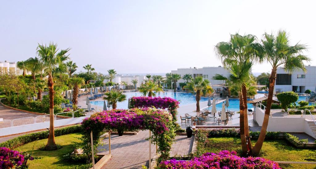 Sharm Reef Hotel Ras Um Sid — Шарм-ель-Шейх, Єгипет мініатюра 13