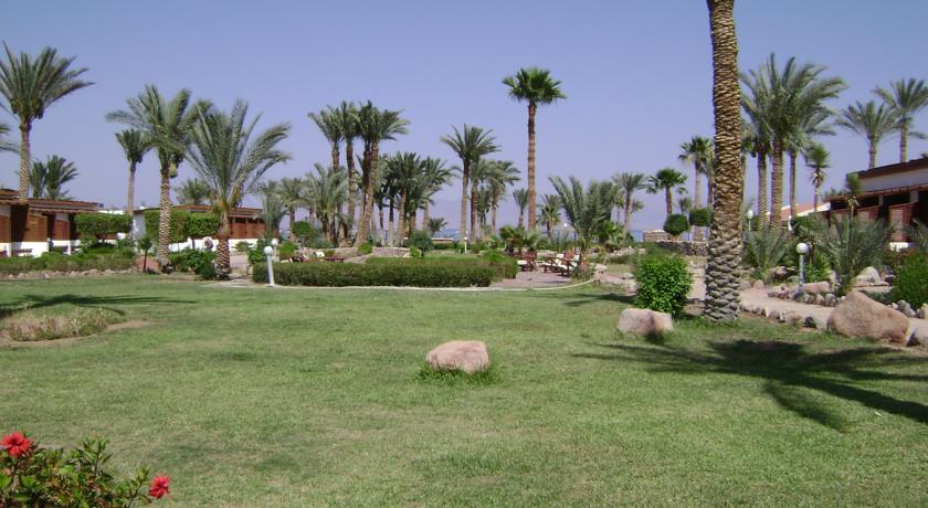 Fiord Club Resort, Нувейба, Єгипет мініатюра 22