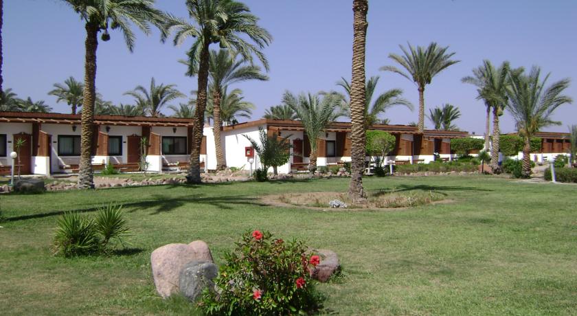 Fiord Club Resort, Нувейба, Єгипет мініатюра 23