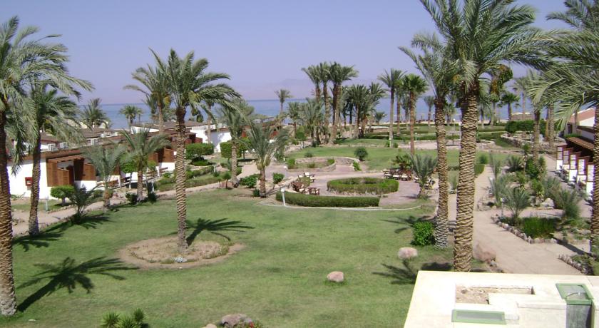 Fiord Club Resort, Нувейба, Єгипет мініатюра 24
