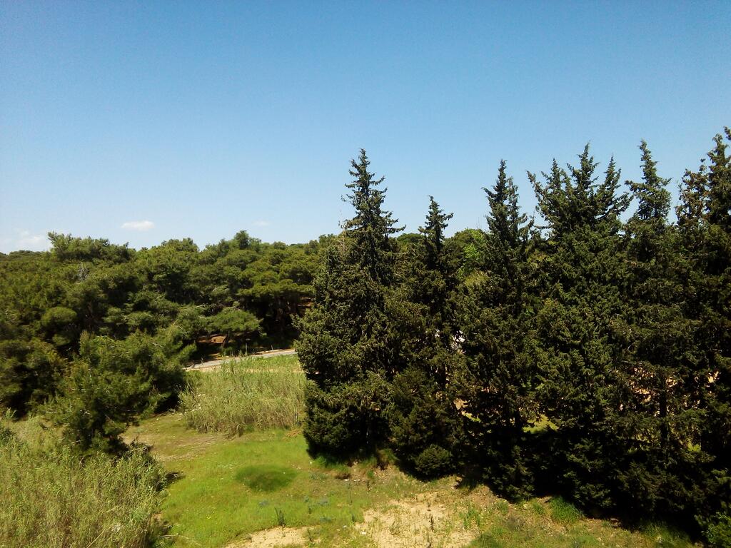 Lara Garden Boutique Hotel — Анталія, Туреччина мініатюра 10