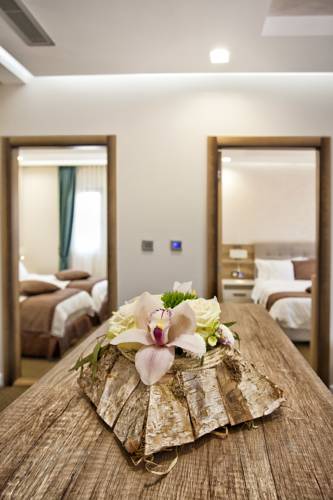 ACD Wellness & Spa Hotel — Херцег-Нові, Чорногорія мініатюра 19