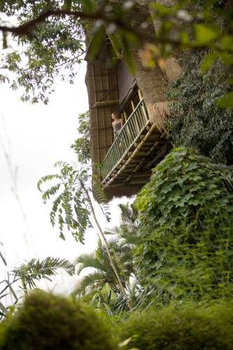 Jungle Retreat By Kupu Kupu Barong — о. Балі, Індонезія мініатюра 50