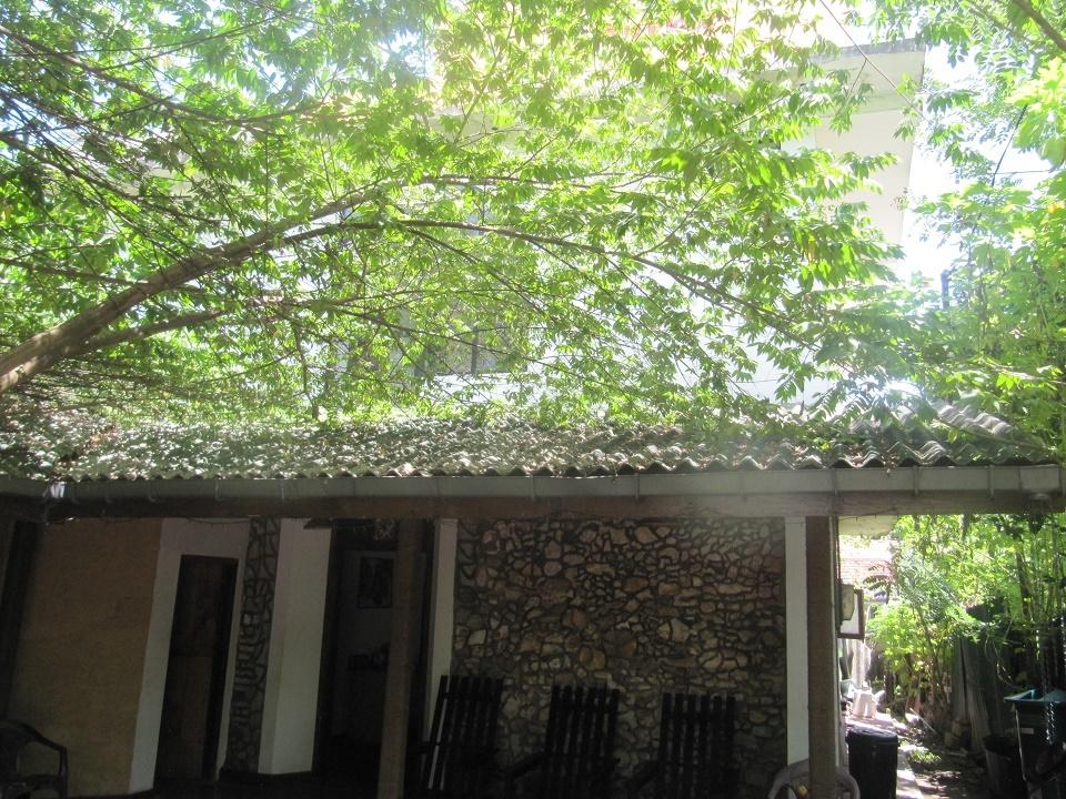 My Place Guest House — Унаватуна, Шрі Ланка мініатюра 23