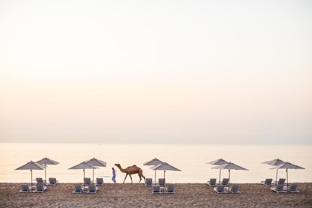 Intercontinental Fujairah Resort — Фуджейра, Об'єднані Арабські Емірати мініатюра 19