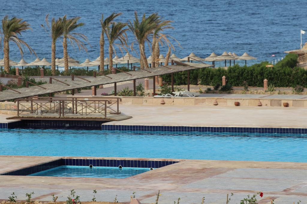 Viva Blue Resort — Сома Бей, Єгипет мініатюра 32