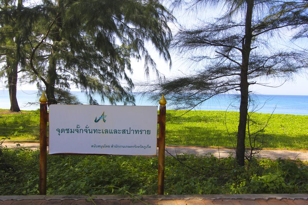 Maikhao Palm Beach Resort — о. Пхукет, Таїланд мініатюра 34