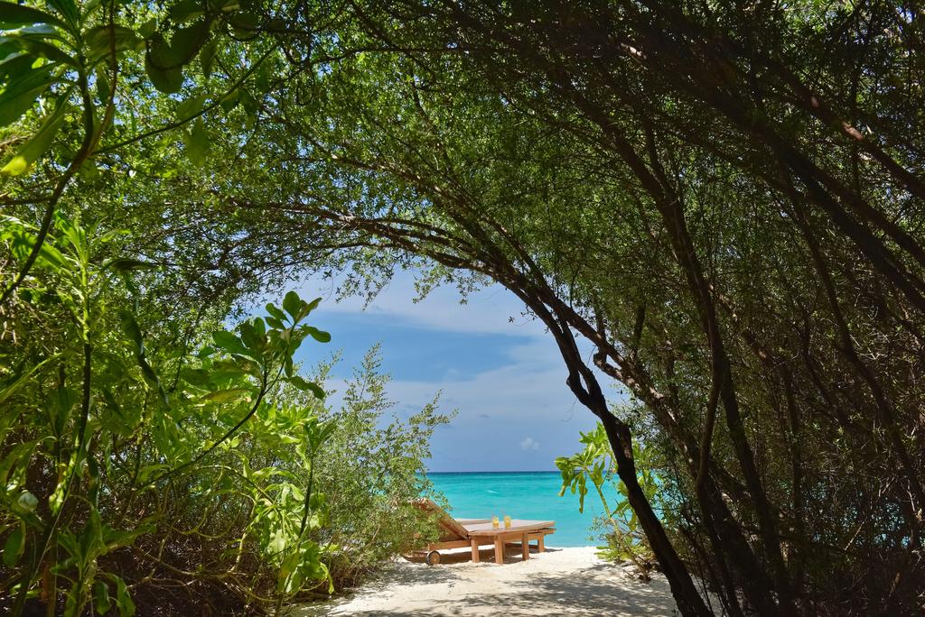 Fushifaru Maldives — Лавіяні Атол, Мальдіви мініатюра 6