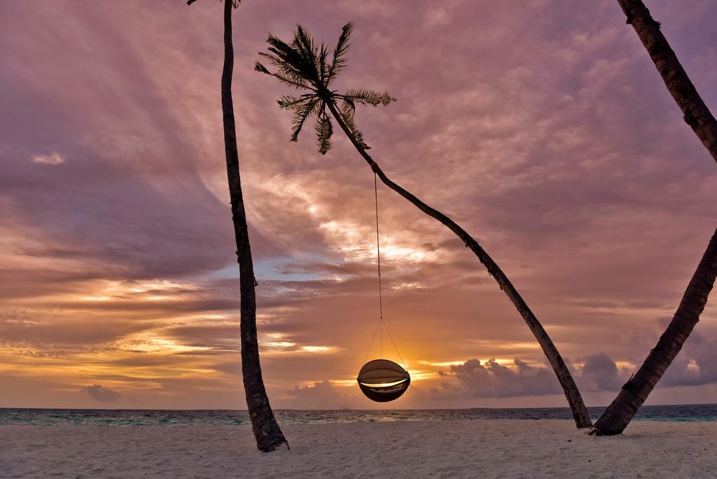 Fushifaru Maldives — Лавіяні Атол, Мальдіви мініатюра 33