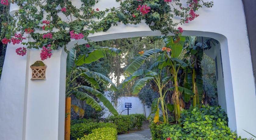Hammamet Garden Resort & SPA — Хаммамет, Туніс мініатюра 38