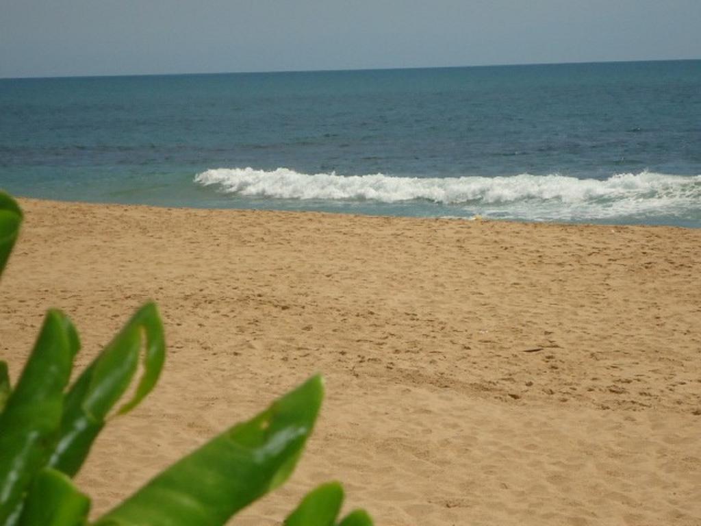 Ceylon Sea Hotel & Spa — Тангалле, Шрі Ланка мініатюра 13