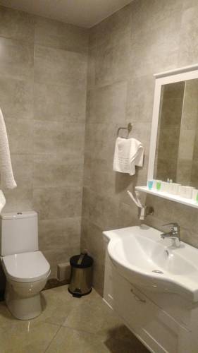 Gremi Hotel — Тбілісі, Грузія мініатюра 37