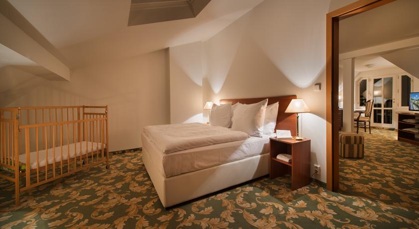 EA Hotel Elefant — Карлові Вари, Чехія мініатюра 72