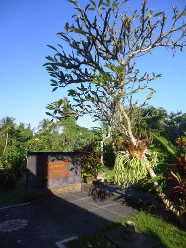 Puri Padi Ubud — о. Балі, Індонезія мініатюра 74