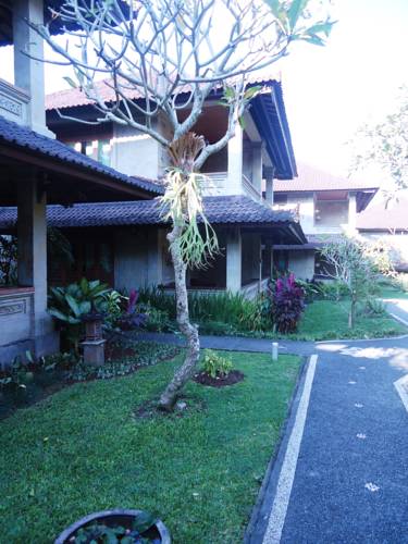 Puri Padi Ubud — о. Балі, Індонезія мініатюра 82