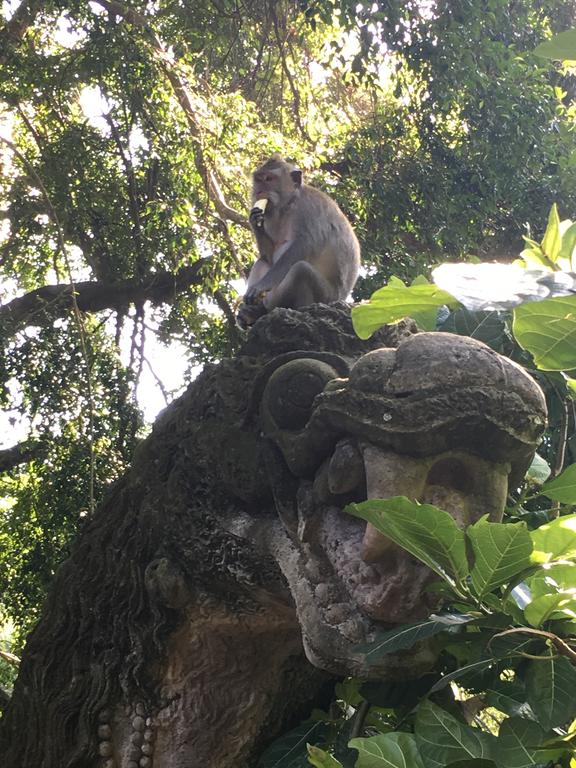 The Artini Dijiwa Ubud — о. Балі, Індонезія мініатюра 131