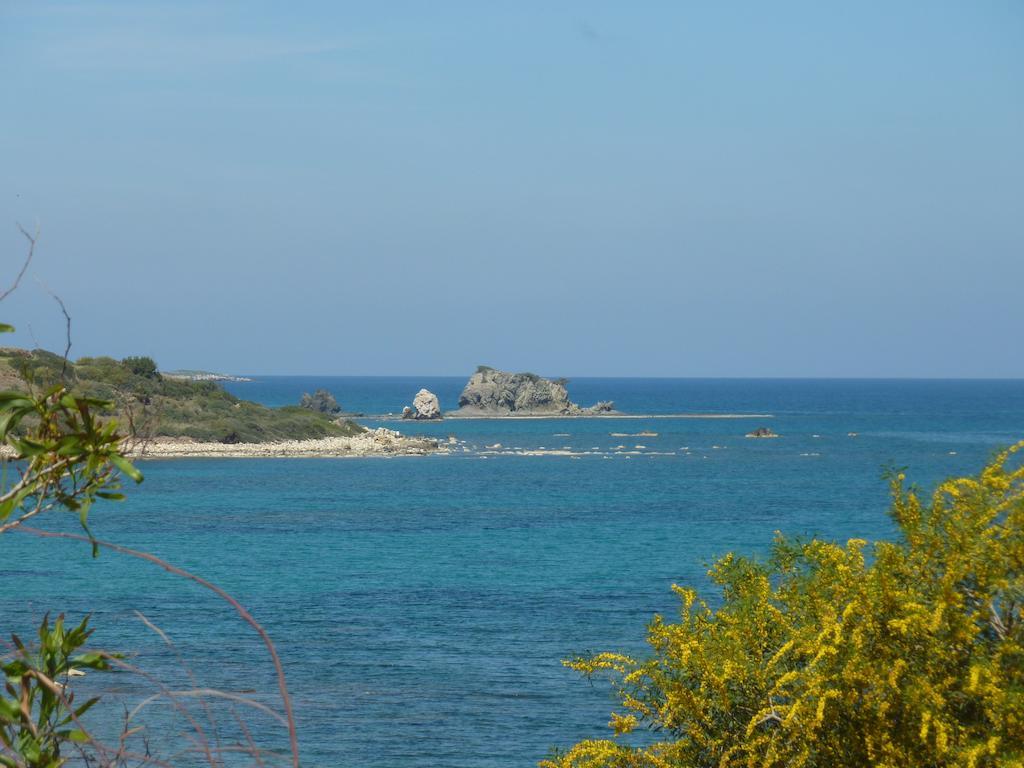 Aphrodite Beach Hotel — Пафос, Кіпр мініатюра 8
