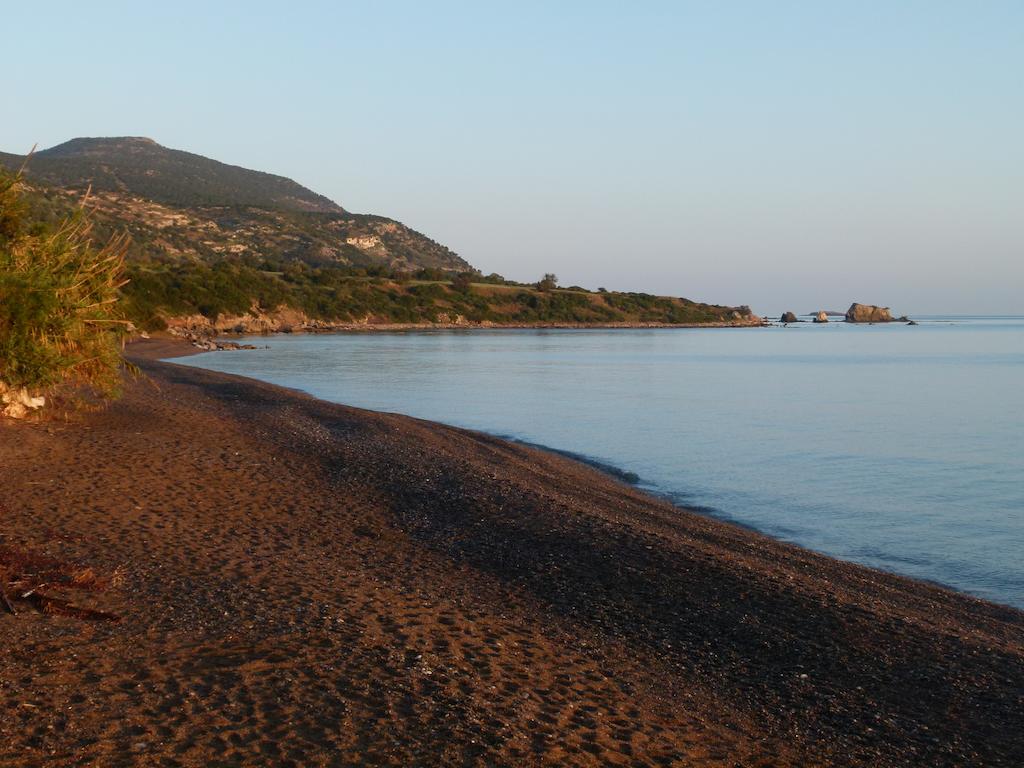 Aphrodite Beach Hotel — Пафос, Кіпр мініатюра 9