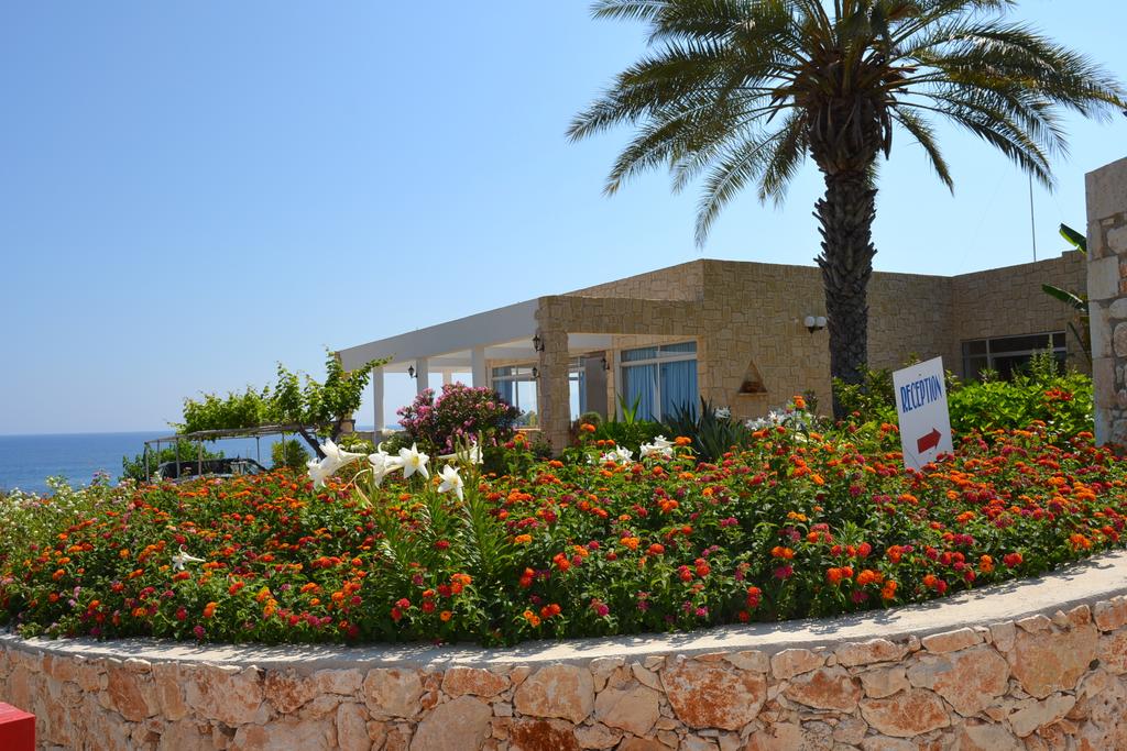 Aphrodite Beach Hotel — Пафос, Кіпр мініатюра 18