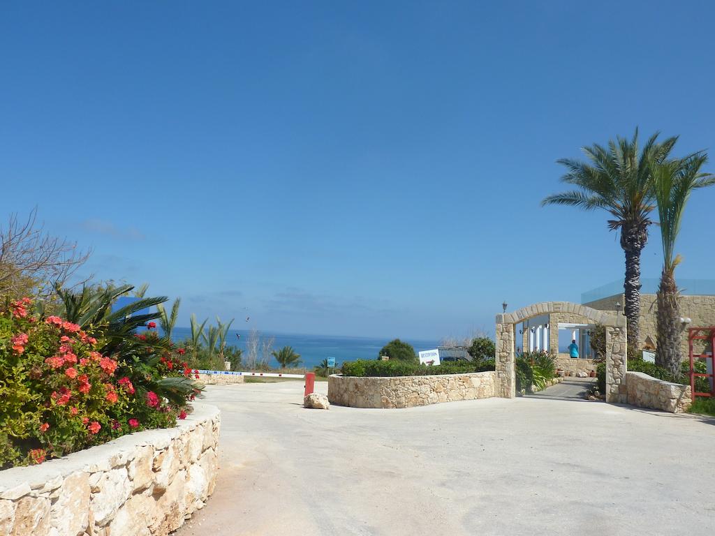 Aphrodite Beach Hotel — Пафос, Кіпр мініатюра 24