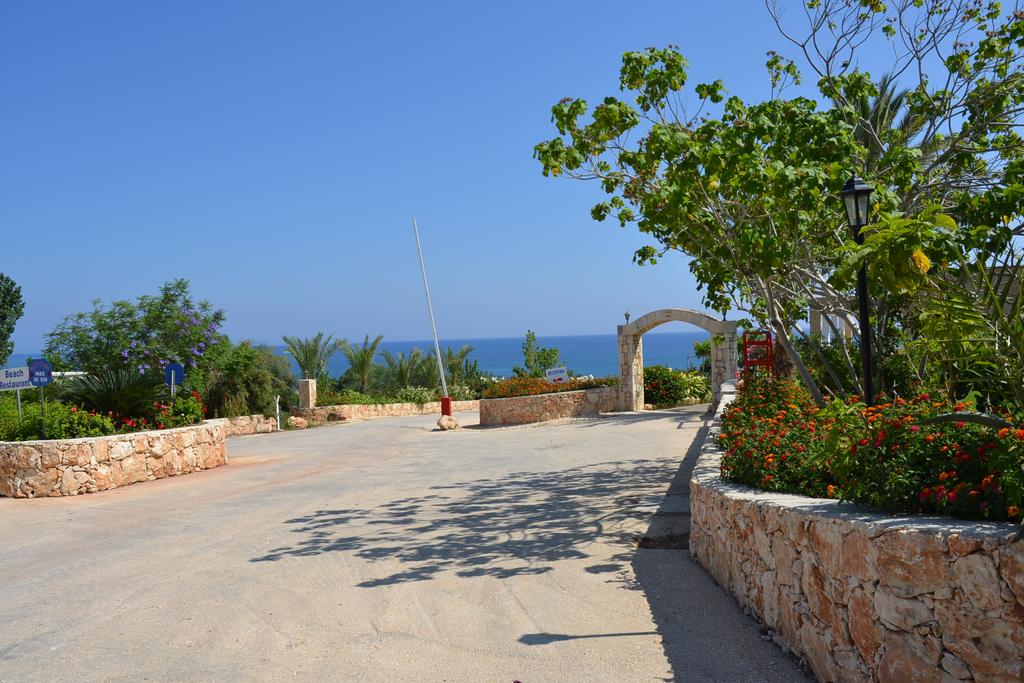 Aphrodite Beach Hotel — Пафос, Кіпр мініатюра 43