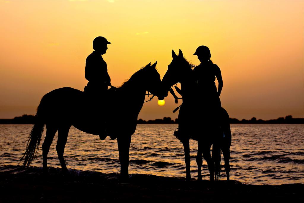 Anantara Sir Bani Yas Island Al Yamm Villa Resort, Абу Дабі, Об'єднані Арабські Емірати мініатюра 16