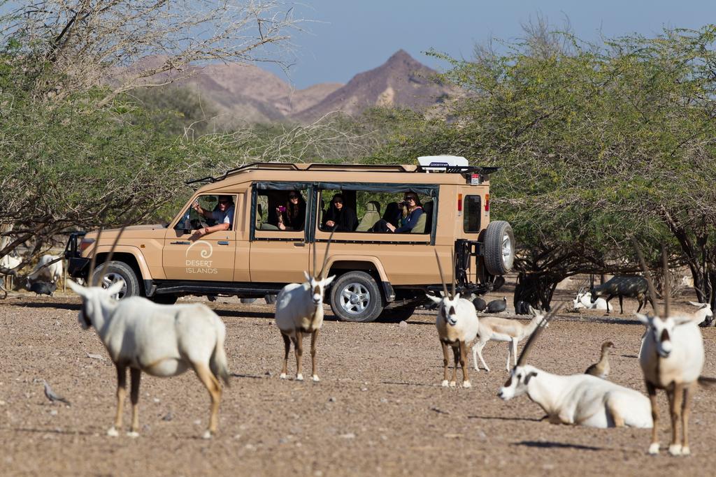 Anantara Sir Bani Yas Island Al Yamm Villa Resort, Абу Дабі, Об'єднані Арабські Емірати мініатюра 36